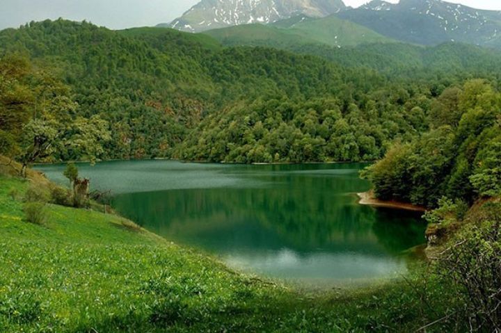 Göygöl Milli Parkını ziyarət etmiş turistlərin sayı açıqlanıb 