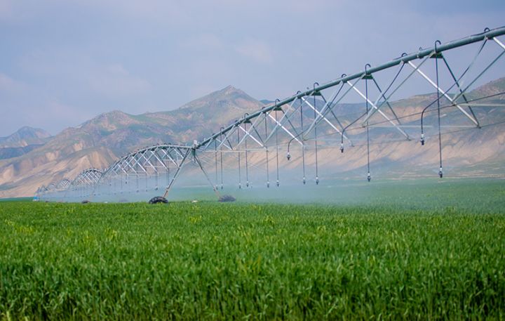 Azərbaycanda yeni aqropark şirkəti yaradılıb