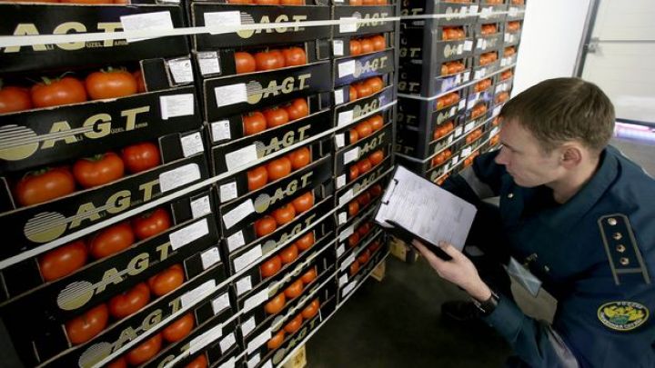 Rusiya Türkiyə üçün pomidor kvotasını artırmağa hazırlaşır