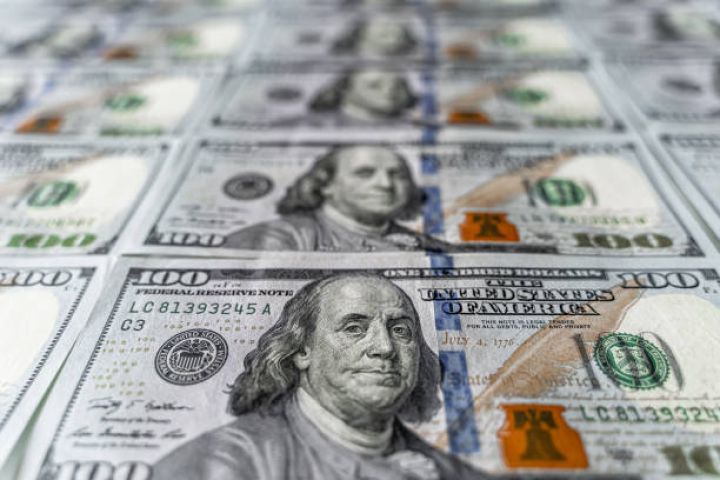 Banklara dollar satıldı