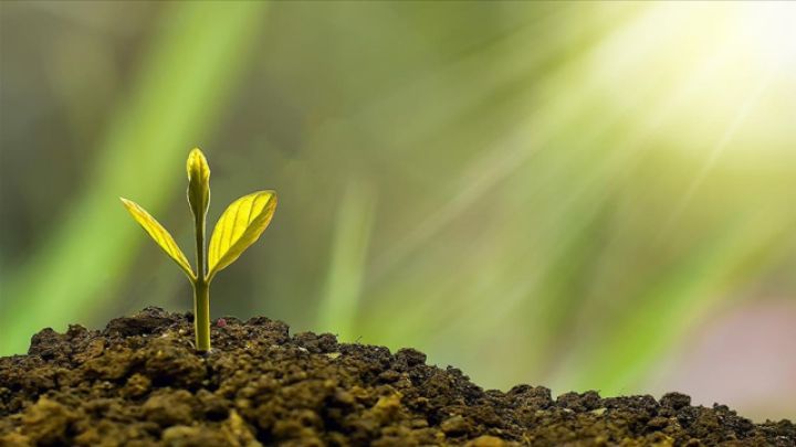 WEF: Yaşıl iqtisadiyyat 2030-cu ilə qədər 7 trilyon dollara çatacaq