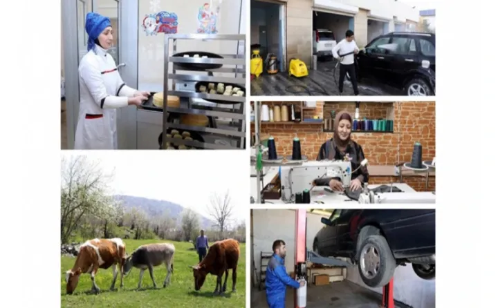 Gələn il 15 min ailə özünüməşğulluq proqramına cəlb ediləcək