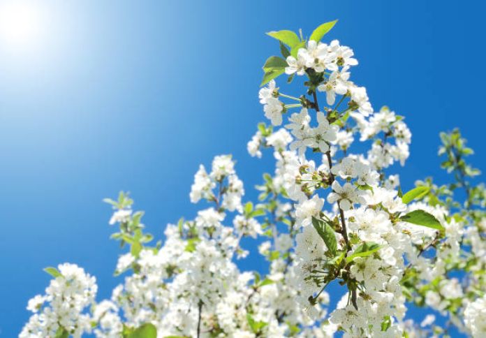 Aprelin 14-də gözlənilən hava şəraiti