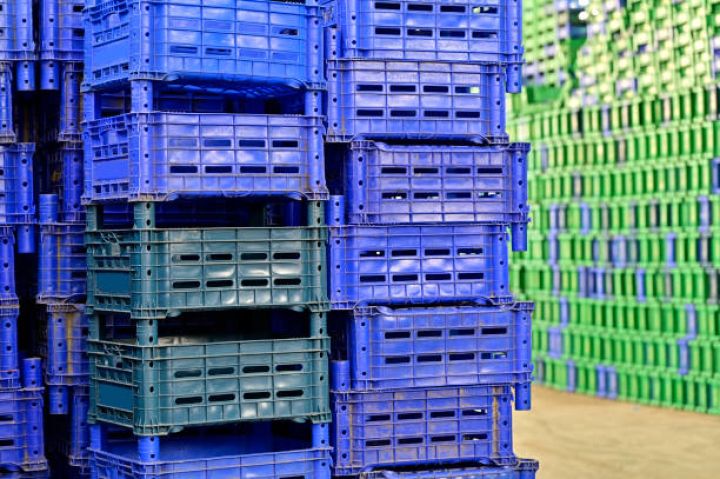 Masallıda plastik taralar istehsal ediləcək - Sənaye Məhəlləsində yeni şirkət