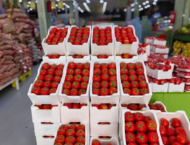 5 ayda pomidor ixracı 120 milyon dollara yaxın qazanc gətirib